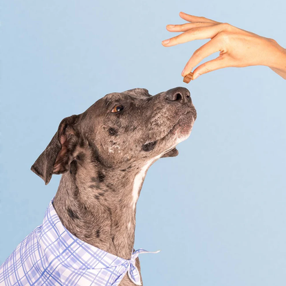 Tägliches Multivitamin